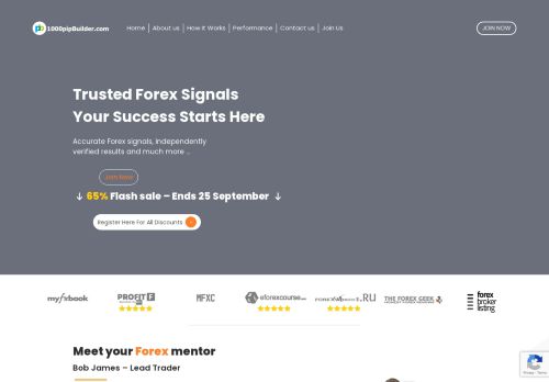 1000pip Builder Website