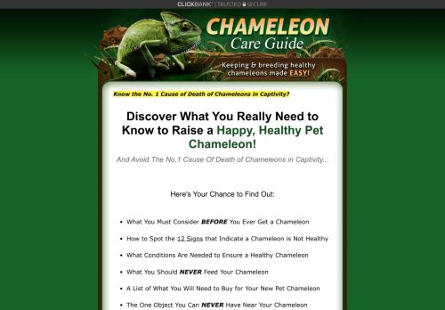 Chameleon Care Guide reddit