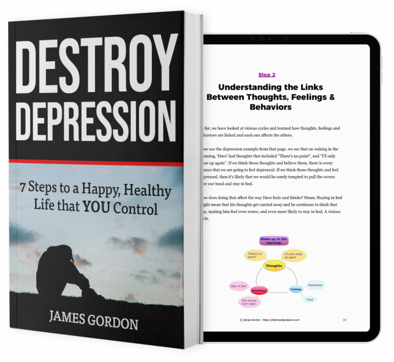 Where to buy Destroy Depression