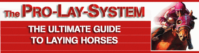 PRO LAY SYSTEM Reviews Review