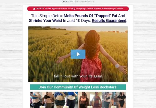 The Smoothie Detox Challenge for sale